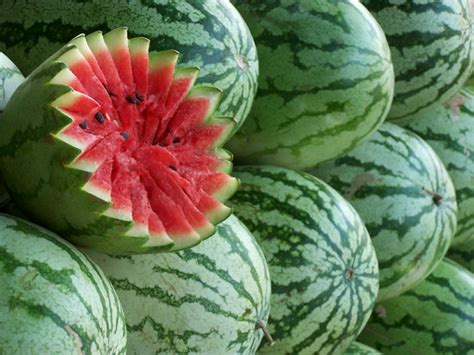  Die Geschichte Von Der Wundervollen Wassermelone: Eine Reise Durch Die Mythen Vietnams