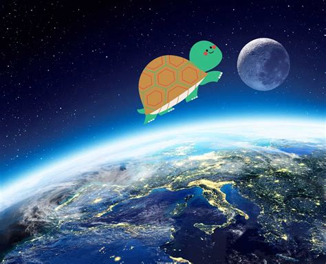  The Tortoise's Journey to the Moon: Ein brasilianisches Märchen des 12. Jahrhunderts über Ausdauer und den Traum vom Unbekannten!